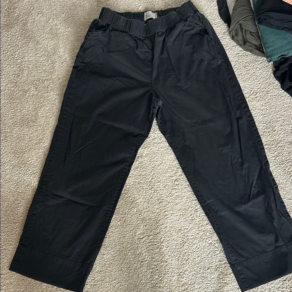 Everlane Easy Pants